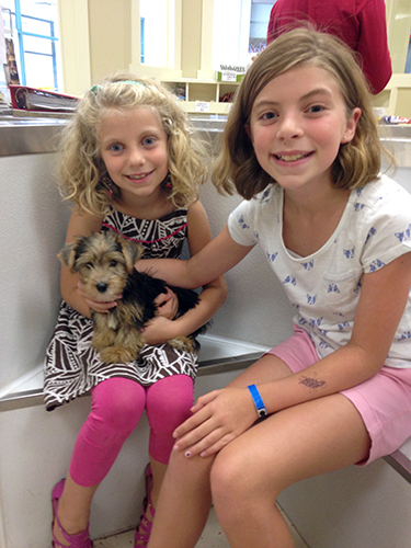 Can we pet a puppy at the pet store? YES! | Photo by Jen Hockney Bratton