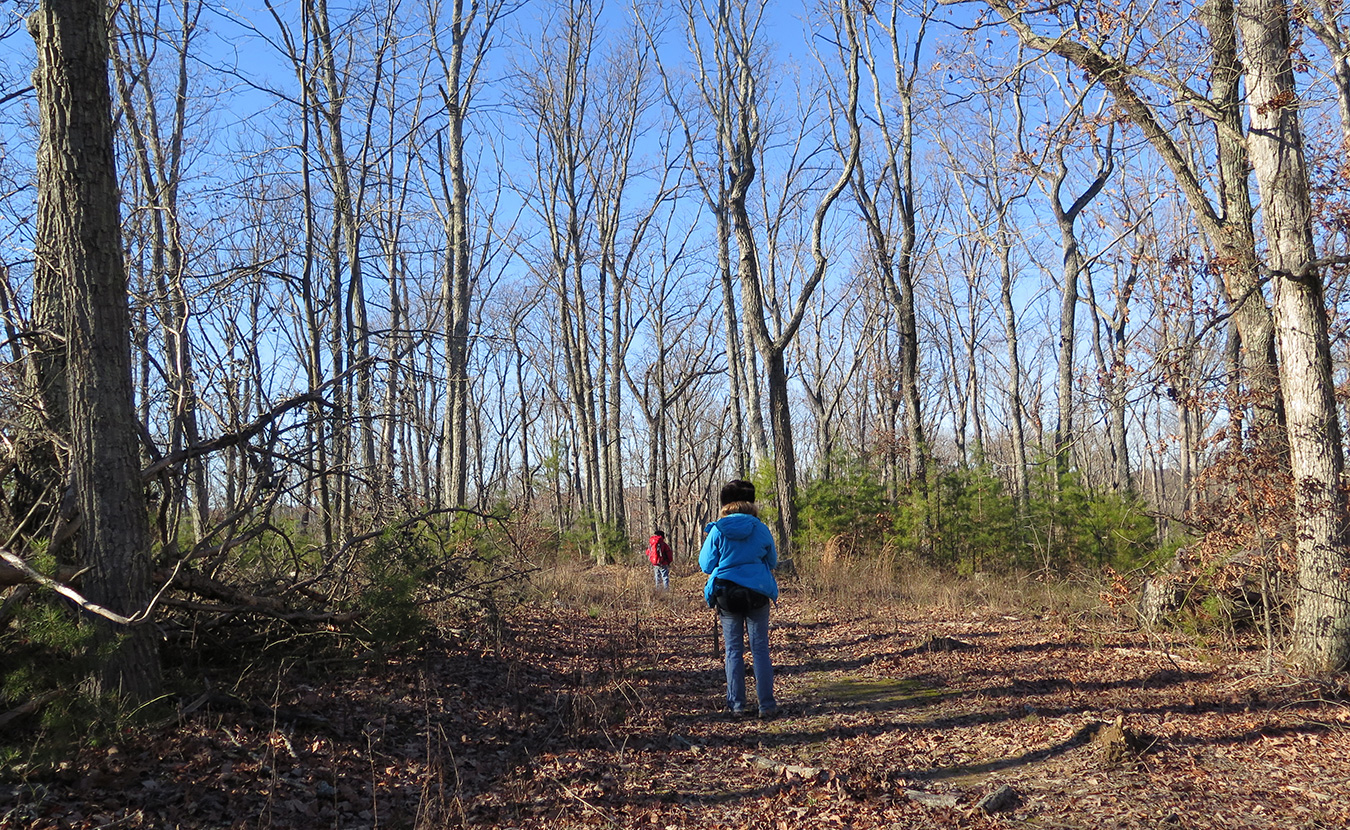 Local supporters hope to connect the B-Line Trail to the Knobstone Trail (shown here), which joins the ADT at Deam Lake State Recreation Area. | Photo by Ron Eid