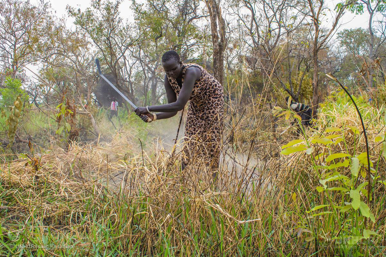 A refugee from South Sudan clears the bush to build her house at Maaji refugee resettlement in Adjumani. | Photo courtesy © UNHCR/Isaac Kasamani