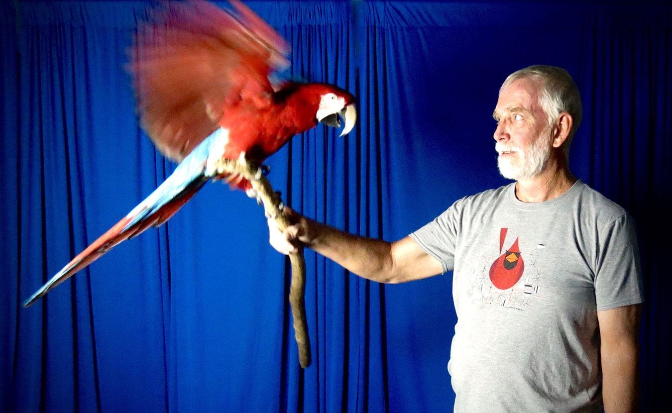 Bloomington’s favorite parrot, Charlie Bird, and his human, Joe Porowski, will perform at Va-Va-Va-Vaudeville. | Photo courtesy of AsaBela WINGS Aerial Academy