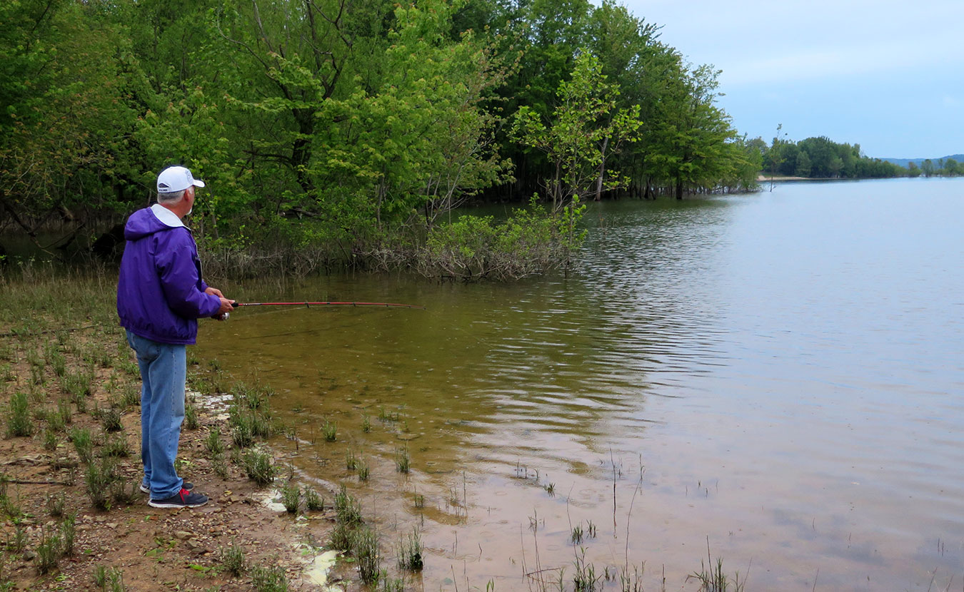 Some runoff effects can cause oxygen depletion, leading to massive fish die-offs, which can take decades to correct. | Limestone Post