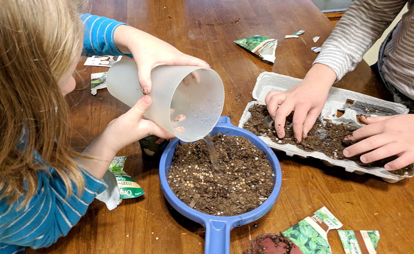 Kids don’t have to be outside to become interested in gardening. You can bring the garden inside to them. | Photo by Katie Posey