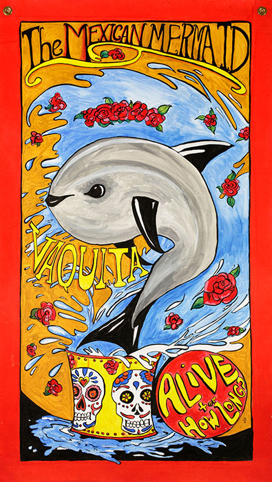 "Vaquita, the Mexican Mermaid." | Courtesy image