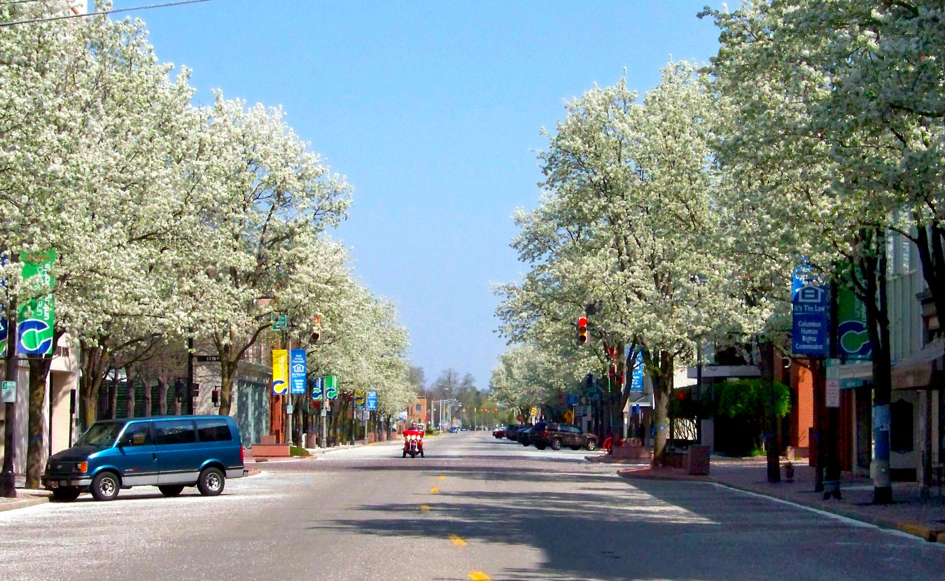 Invasive Plants Are Still For Sale In Indiana How You Can Help