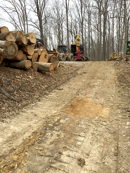 Logging on private property often requires heavy machinery, equipment, and vehicles, and the roads to haul them. | Limestone Post