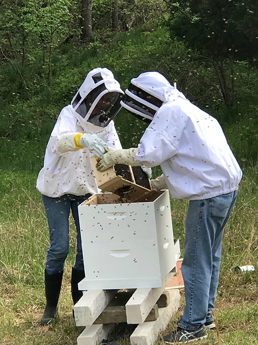 Hollinden, left, and Tim Bitzer work on Hollinden's new hive. | Photo by Marla Bitzer