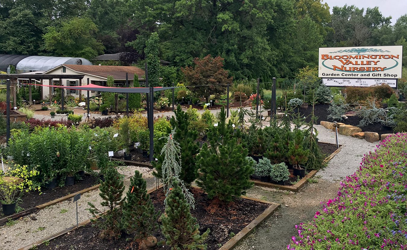 Nestled off of Old 37, Bloomington Valley Nursery is a verdant oasis with much to explore. Founded in 1965, the nursery is known around town for its customer service and unique selection. The friendly staff stock saplings, flowers, houseplants, and more, and offer free gardening classes for the public.