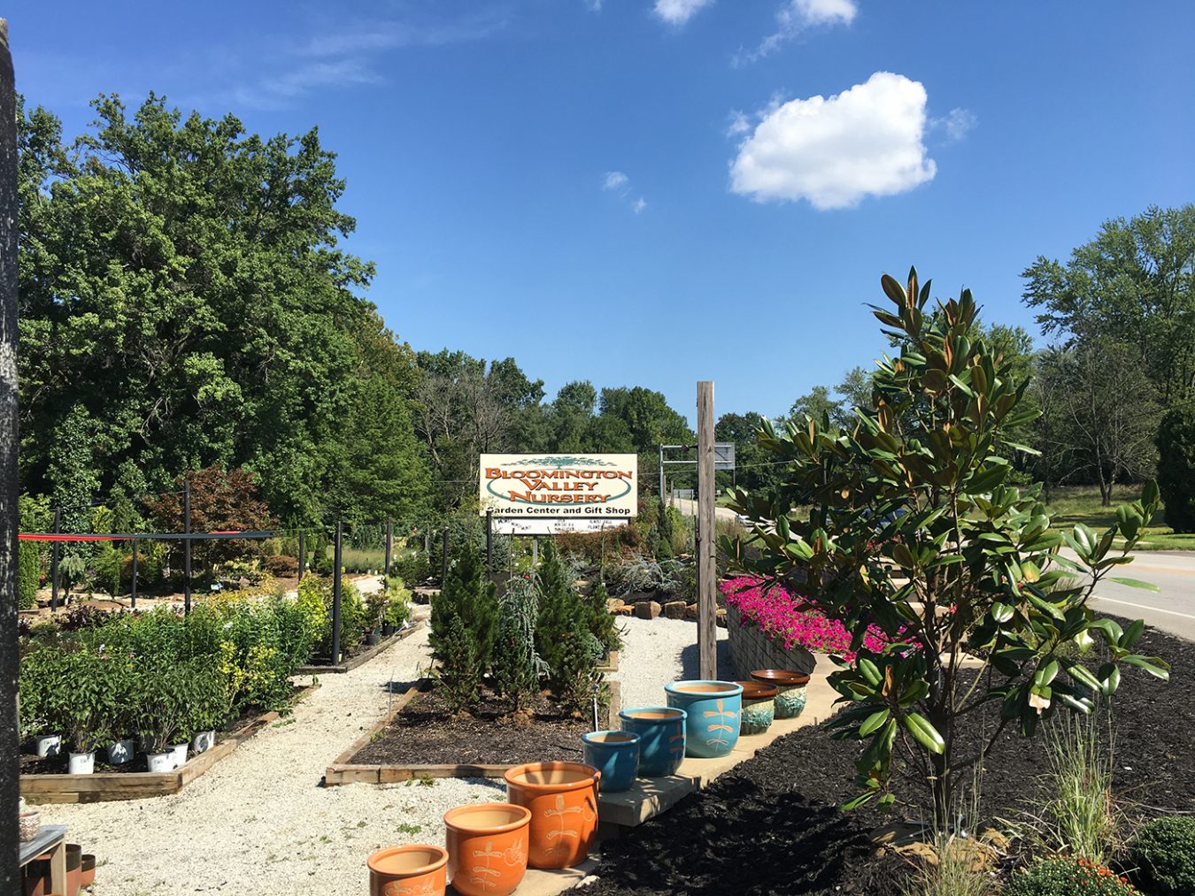 Being in business for 53 years is no small feat. As one of Bloomington's more seasoned local businesses, Bloomington Valley Nursery has provided consistent service and also adapted to changes in the market over the years. At the moment, “gardeners in Bloomington have an interest in returning to our roots, so to speak,” says the nursery's manager, Jeanna Sexton.