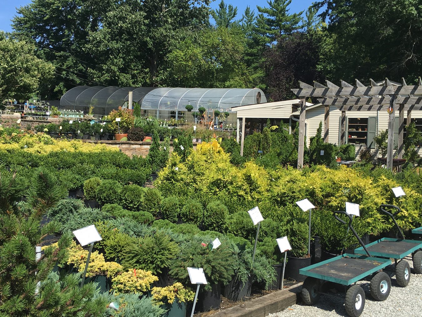 Bloomington Valley Nursery isn't just a resource for household green thumbs. They also supply local landscaping companies and stock plenty of trees, evergreens, and shrubs for bigger projects. 