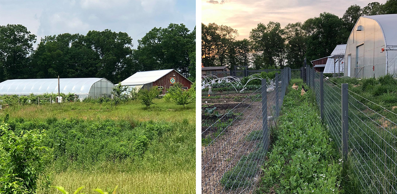 CSAs help small-scale farmers “feel connected to our customers,” says Robert Frew of Sobremesa Farm. | Courtesy photo