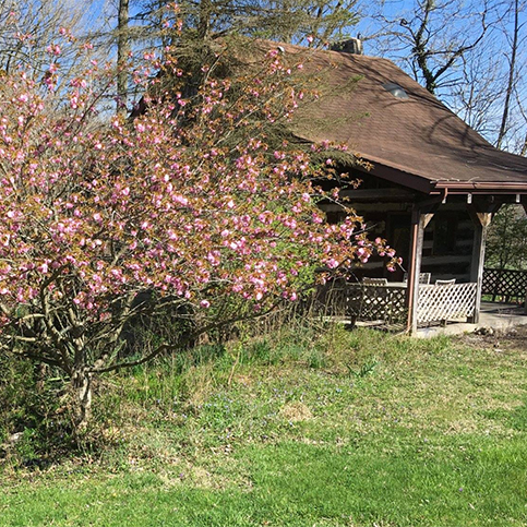 There are a few existing structures on the property, including this cabin, which will be fixed up and become one of the community's homes. | Courtesy photo