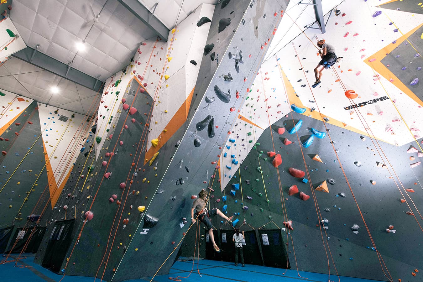 Hoosier Heights offers a variety of climbing experiences and welcomes climbers of all ages and expertise. The new gym has bouldering, a classic belay as well as an auto-belay system, and a ropes room. In addition, the new location in McDoel Gardens has a community room, yoga classes, and exercise equipment.