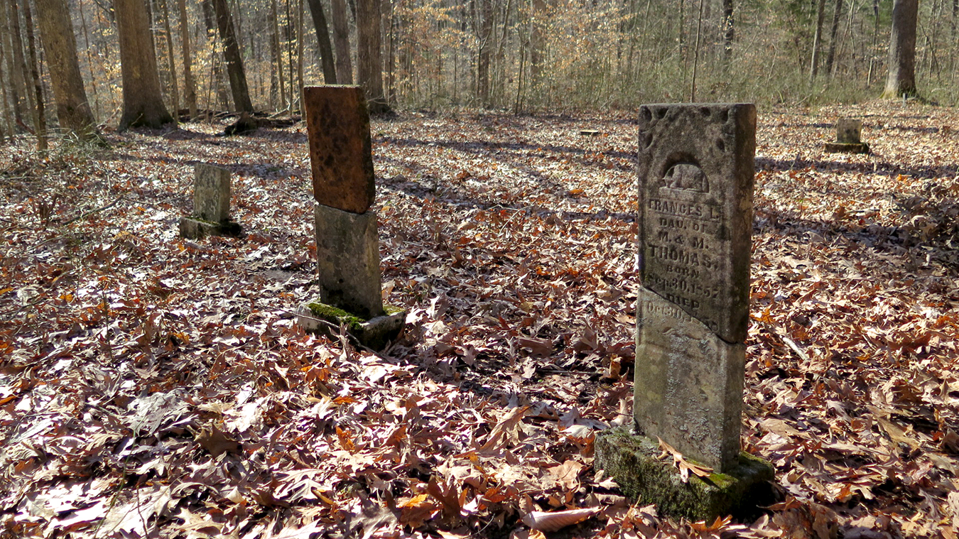 Campbell has found evidence of progressive ideals held in the Lick Creek settlement. | Limestone Post