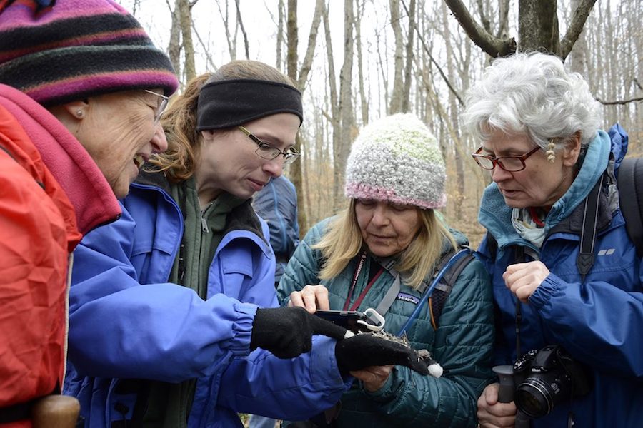 Jill Vance (second from left), a naturalist with Monroe Lake and an organizer of WINGS, guides members during an outdoor event hosted by Monroe Lake. | Photo by Martha Fox