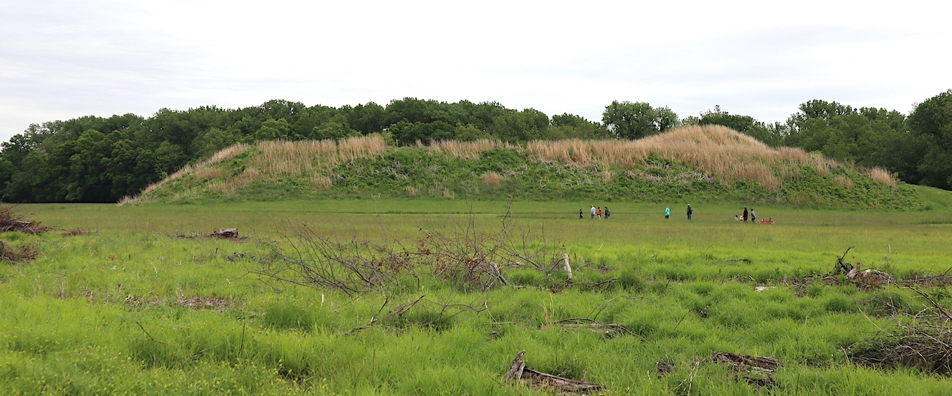 Mound A (above) is the central mound at Angel Mounds. The town had 12 other mounds, on top of which stood the homes of spiritual leaders and important people, as well as places of religious worship. The majority of the Middle Mississippian cities, including Cahokia (the largest Mississippian city, near present-day St. Louis) and Angel Mounds, were abandoned around 1450, prior to Columbus’s landing in the Caribbean in 1492. | Photo by Laura Martinez